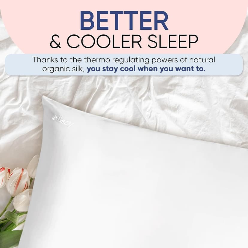 Blissy Silk Pillowcase - 100% Pure Mulberry Silk - 22 Momme 6A High-Grade Fibers - Pillow Cover for Hair & Skin - Regular, Queen & King with Hidden Zipper (Standard,Blissy White)