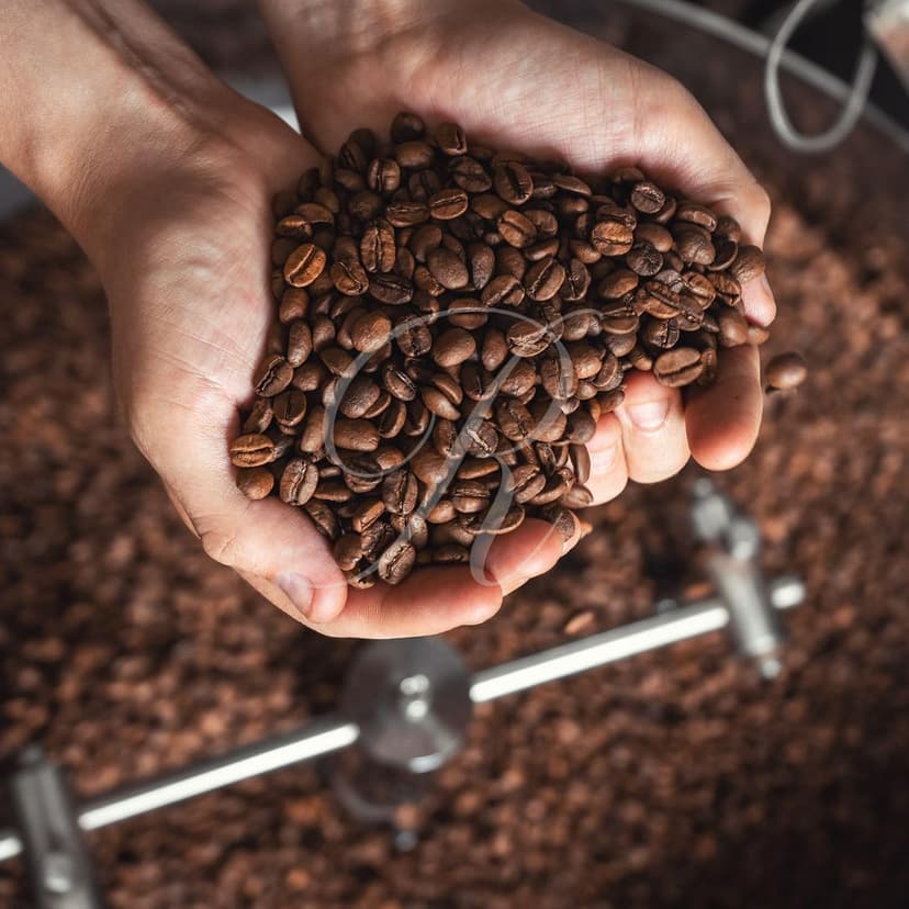 5 lbs (16 oz / 454 g) Jamaica Jamaican Blue Mountain Dark Roasted Coffee Beans, Roasted on the Day of Shipping