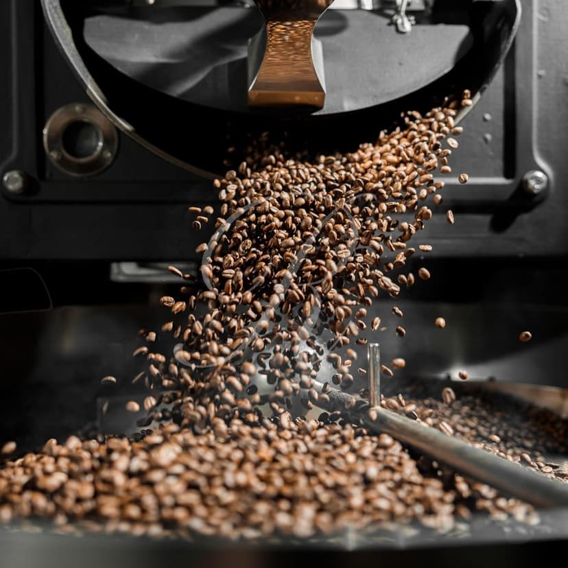 5 lbs (16 oz / 454 g) Jamaica Jamaican Blue Mountain Dark Roasted Coffee Beans, Roasted on the Day of Shipping