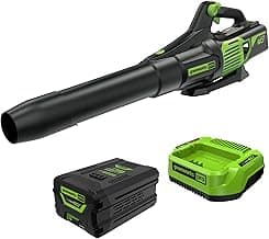 Best Cordless Leaf Blowers Under $200 You Can Buy Today