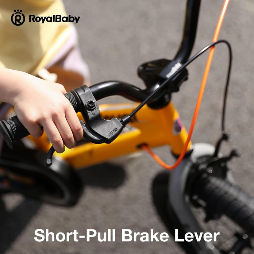 RoyalBaby Kids Bike EZ Freestyle Training Free Balance to Pedal Easy Learning Bicycle, 12-18 Inch for Toddlers to Big Kids