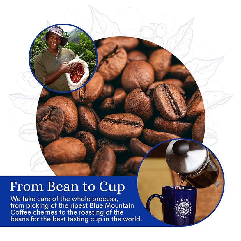 Cafe Blue 100% Authentic Jamaica Blue Mountain Medium Roast Whole Bean Premium Arabica Coffee, 16 Ounces (1 Pound, 454 Grams)