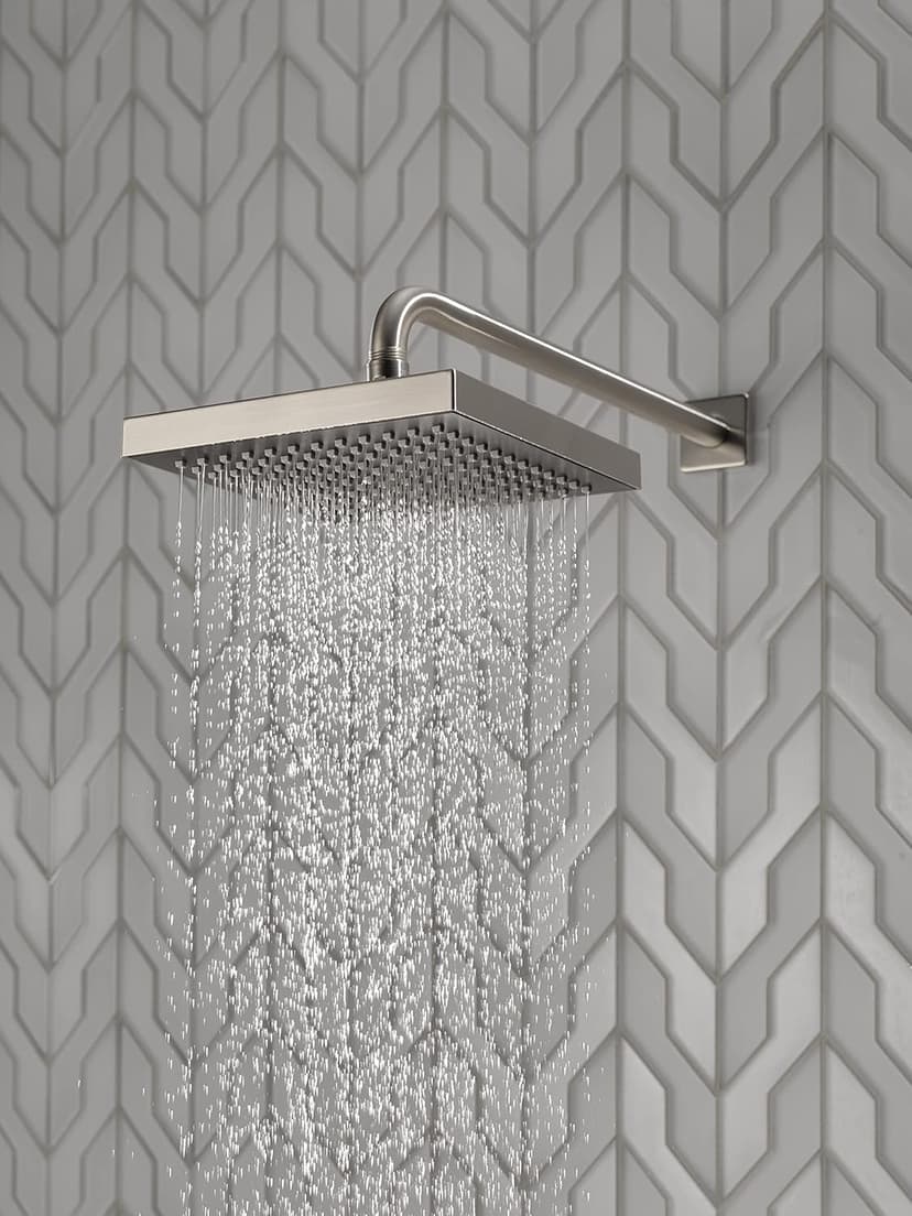 Delta Faucet Single-Spray Touch-Clean Rain Shower Head, Stainless RP50841SS