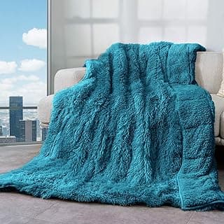 Cottonblue Weighted Blanket 15lbs, Sherpa Faux Fur Reversible Luxury Snugly Long Fur Warm Heavy Blanket 60x80 inches, Warm Plush Sherpa Weighted Blanket Queen Size for Couch Sofa Bed, Teal Green