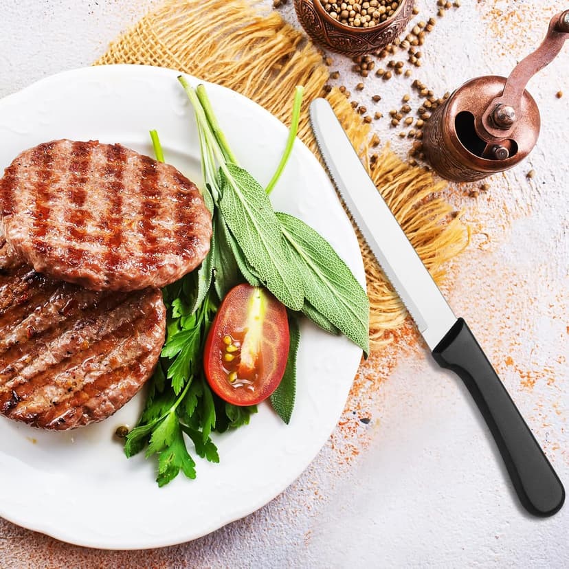 Zhehao 150 Pcs 8.39 Inches Steak Knife Sets Black Stainless Steel Serrated Edge Dinner Knives with Plastic Handle and Round Tip for Home Restaurant