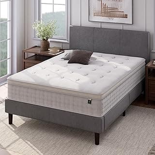 Zinus 12 Inch Euro Top Pocket Spring Hybrid Mattress, King, Pressure Relief, Pocket Innersprings for Motion Isolation, Mattress in A Box