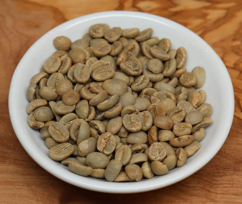 Jamaican Blue Mountain Coffee - 1 Pound - Medium Roast