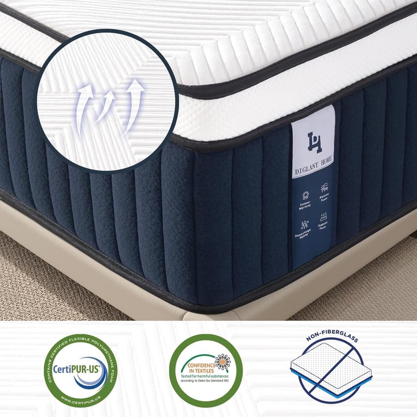 Queen Mattress, DIGLANT 14Inch Euro Top Memory Foam Hybrid Mattress, Medium Plush Feel Pocket Springs Queen Size Mattress for Pressure Relief, Edge Support Mattress in Box, CertiPUR-US, 60"*80"