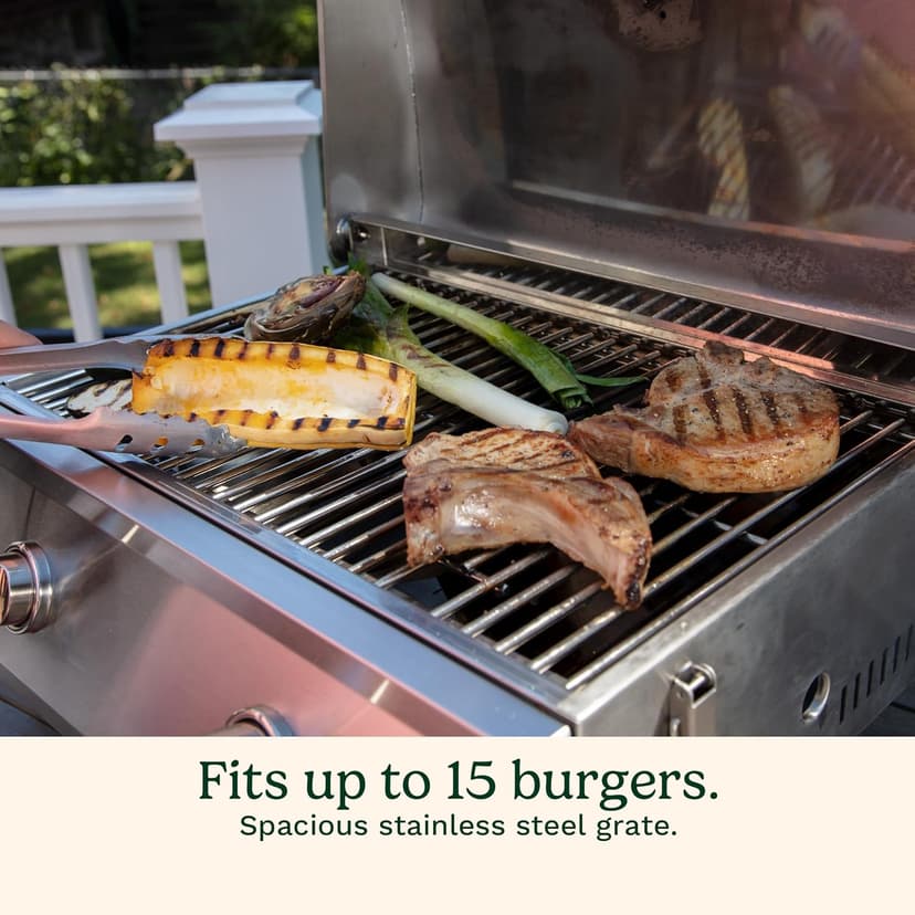 Cuisinart Chef's Style Tabletop Portable Propane Gas Grill with Dual Burners (20,000 BTUs Total), Twist-Start Ignition Stainless Steel BBQ Grill for Camping, Tailgates, BBQ, Hassle-Free Setup