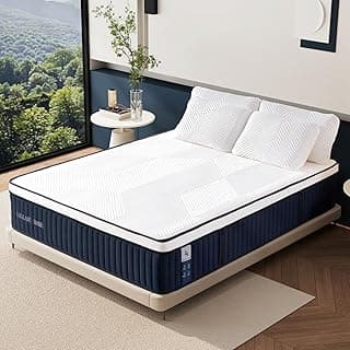 Queen Mattress, DIGLANT 14Inch Euro Top Memory Foam Hybrid Mattress, Medium Plush Feel Pocket Springs Queen Size Mattress for Pressure Relief, Edge Support Mattress in Box, CertiPUR-US, 60"*80"