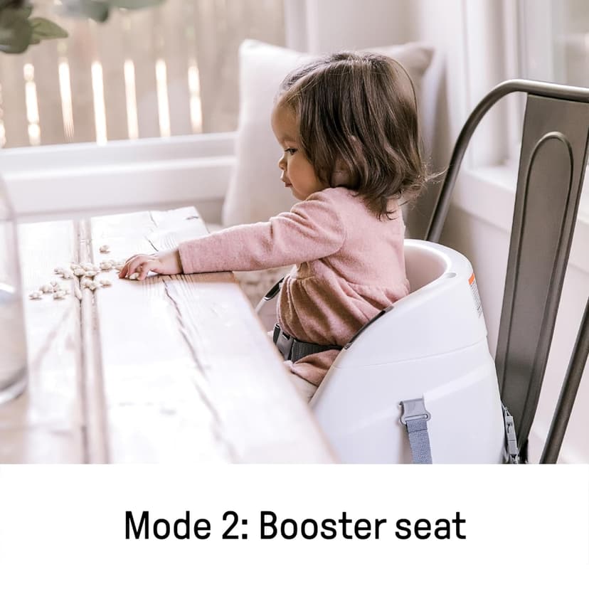 Ingenuity Baby Base 2-in-1 Booster Feeding and Floor Seat with Self-Storing Tray - Slate