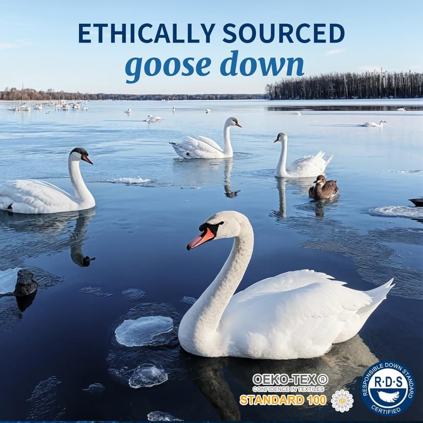 Canadian Luxury Goose Down Pillow Standard Size, 750 Fill Power, 100% Cotton with Teflon Shell- Ultra Comfort Sleep Pillows - Bed Pillows for Back, Stomach(White,Standard(Pack of 1))