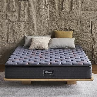 Queen Mattress 12 Inch Pillow Top Hybrid, Medium Firm Pocket Springs, Pressure Relief, Mattress in a Bag for Bedroom, Guest Room