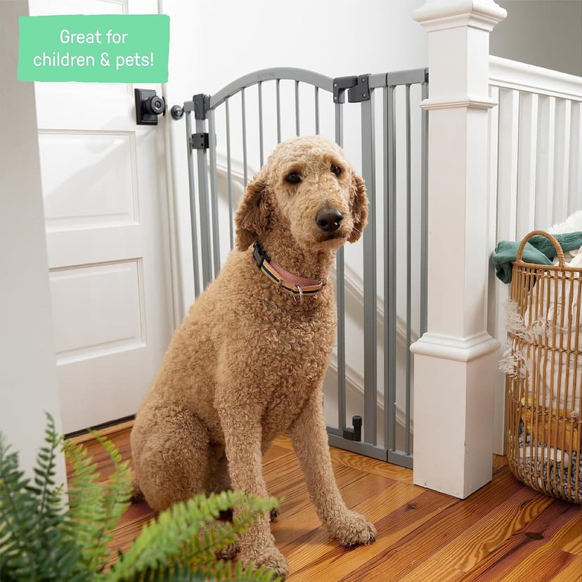 Summer Infant Extra Tall & Wide Safety Pet and Baby Gate, 29.5"-53" Wide, 38" Tall, Pressure or Hardware Mounted, Install on Wall or Banister in Doorway or Stairway, Auto Close Walk-Thru Door - Gray