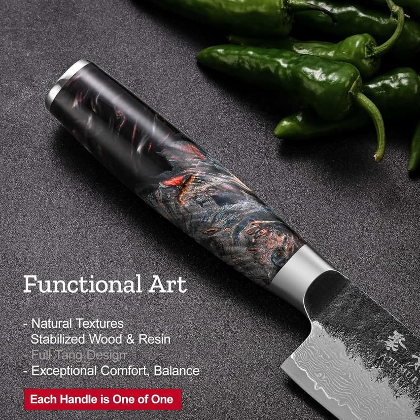 Japanese Chef Knife, 8 Inch Damascus Kitchen Knife with VG10 Steel Core, Professional Black Forged Kitchen Knives with Ergonomic Handle, Leather Sheath & Luxury Gift Box, Birthday Gifts for Men Women