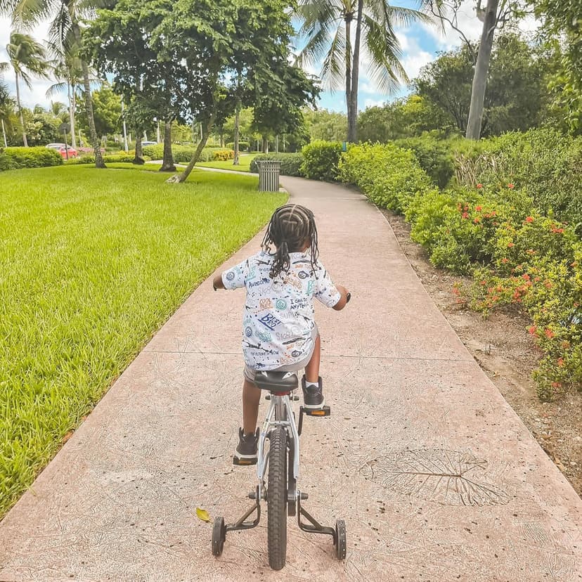 JOYSTAR Whizz Kids Bike 12 14 16 18 Inch Kids' Bicycle for Toddler and Kids Ages 2-9 Years Old, BMX Style Boys Bike with Training Wheels, Children Bicycles, Multiple Colors