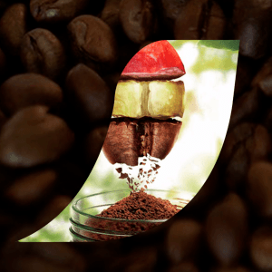 NESCAFÉ Taster's Choice Instant Coffee Light Medium Roast, House Blend, 2 Jars (7 Oz Each)
