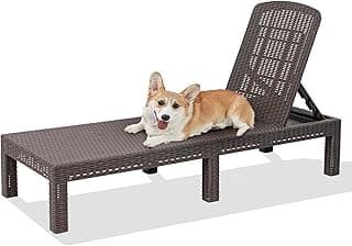 DIMAR GARDEN Outdoor Chaise Lounge,Resin Pool Lounge Chair Waterproof Recliner,Mocha