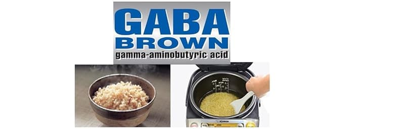 Zojirushi NP-HCC10XH Induction Heating System Rice Cooker and Warmer, 1 L, Stainless Dark Gray