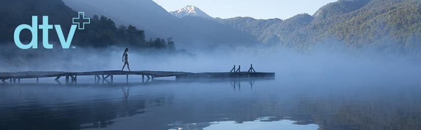 KOHLER 99695-NA DTV+ System Controller Module, For Use with the KOHLER DTV+ Showering System, Two Ports for Connecting Digital Valves, Eight Ports for System Component Connections