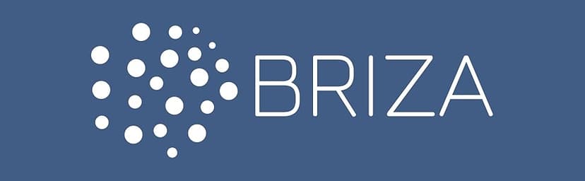 Briza Infrared Electric Patio Heater - Indoor/Outdoor Heater - Portable Wall/Garage Heater - 1500W - use with Stand - Mount to Ceiling/Wall)