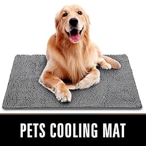 LOCHAS Luxury Bathroom Rug Shaggy Bath Mat 24 x 60 Inch, Washable Non Slip Bath Rugs for Bathroom Shower, Soft Plush Chenille Absorbent Carpets Mats, Gray