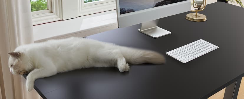 ErGear Height Adjustable Electric Standing Desk, 47.2 x 23.6 Inches Sit Stand up Desk, Memory Computer Home Office Desk with Two-Piece Desktop (Black)