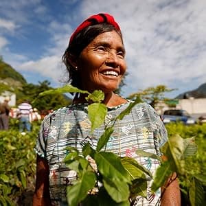 Nespresso Lattissima One Original Espresso Machine with Milk Frother by De'Longhi, Silky White