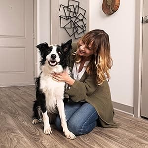 PetSafe Automatic Cat Feeder - Healthy Pet Simply Feed - Automatic Pet Feeder for Cats & Dogs - Timed Pet Feeder with Programmable Portion Control - Holds 24 Cups of Dry or Semi-Moist Dog or Cat Food