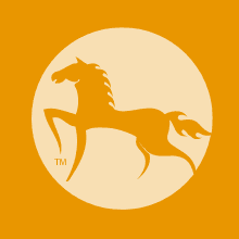 Christopher Knight Home Abigal Outdoor Cast Aluminum Dining Set, 9-Pcs Set, Shiny Copper Finish