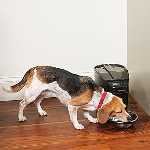 PetSafe Automatic Cat Feeder - Healthy Pet Simply Feed - Automatic Pet Feeder for Cats & Dogs - Timed Pet Feeder with Programmable Portion Control - Holds 24 Cups of Dry or Semi-Moist Dog or Cat Food