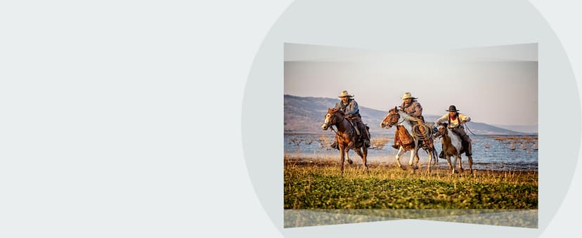 Epson Home Cinema 880 3-chip 3LCD 1080p Projector, 3300 lumens Color and White Brightness, Streaming and Home Theater, Built-in Speaker, Auto Picture Skew, 16,000:1 Contrast, HDMI 2.0, White