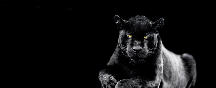 Epson Home Cinema 2250 3LCD Full HD 1080p Projector with Android TV, Streaming Projector, Home Theater Projector, 10W Speaker, Image Enhancement, Frame Interpolation, 70,000:1 contrast ratio, HDMI