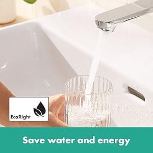 hansgrohe Rebris S Widespread Bathroom Sink Faucet in Chrome, 72530001