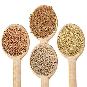 Grain Mill Wheat Flour Grinder, Stainless Steel Metal Burrs (Hand Crank Grain Mill)