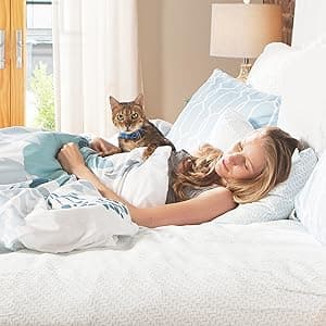 PetSafe Automatic Cat Feeder - Healthy Pet Simply Feed - Automatic Pet Feeder for Cats & Dogs - Timed Pet Feeder with Programmable Portion Control - Holds 24 Cups of Dry or Semi-Moist Dog or Cat Food