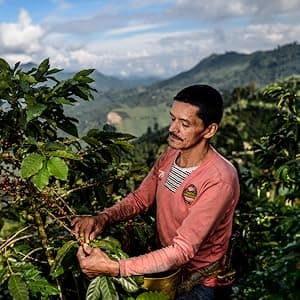 Nespresso Lattissima One Original Espresso Machine with Milk Frother by De'Longhi, Silky White