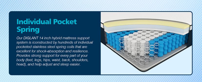 Queen Mattress, DIGLANT 14Inch Euro Top Memory Foam Hybrid Mattress, Medium Plush Feel Pocket Springs Queen Size Mattress for Pressure Relief, Edge Support Mattress in Box, CertiPUR-US, 60"*80"