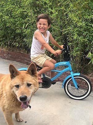 JOYSTAR 12 14 16 Inch Kids Cruiser Bike for Ages 2-7 Years Old Girls & Boys, Children's Bicycle with Training Wheels, Coaster Brake, Fenders & Adjustable Seat