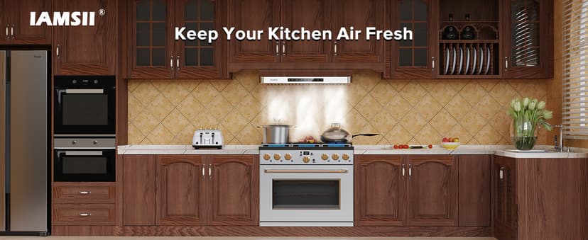 Under Cabinet Range Hood 30 Inch,900 CFM Stainless Steel Kitchen Stove Vent Hood with 4 Speed Exhaust Fan Gesture Sensing/Touch/Remote Control