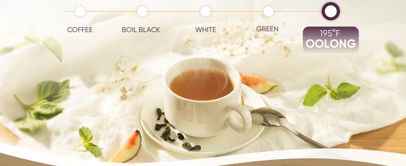 COSORI Electric Gooseneck Kettle with 5 Temperature Control Presets, Pour Over Kettle for Coffee & Tea, Hot Water Boiler, 100% Stainless Steel Inner Lid & Bottom, 1200W/0.8L