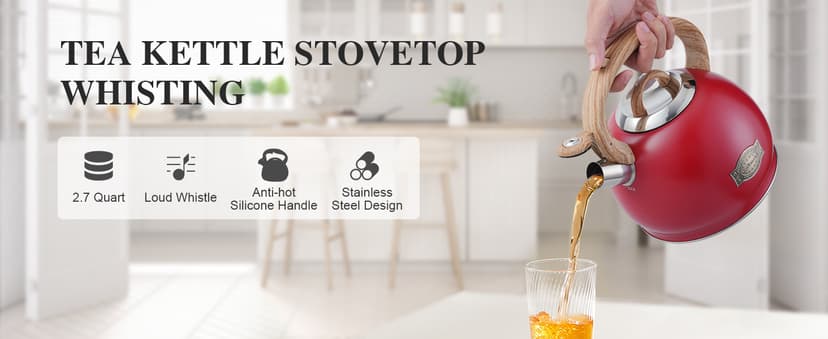 Tea Kettle Stovetops, 2.7 Quart Food Grade Stainless Steel Water kettles for Stove Top Teatop with Anti-hot Ergonomic Handle,Suitable for All Heat Sources
