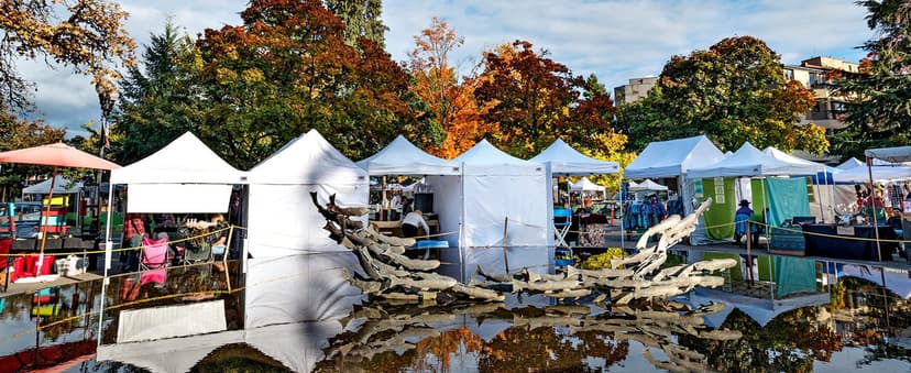ABCCANOPY Easy Pop Up Canopy Tent with Sidewalls 10x10 Commercial -Series, White