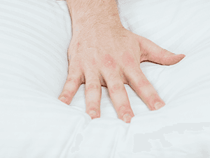 Beckham Hotel Collection Bed Pillows Standard/Queen Size Set of 2 - Original Down Alternative Pillow for Sleeping - Bedding for Back, Stomach or Side Sleepers