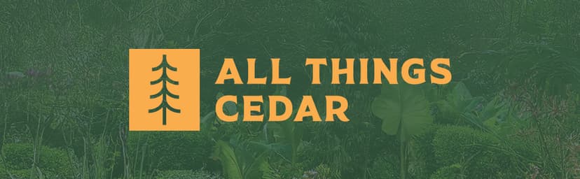 All Things Cedar PA96 Garden Arbor | 6-Ft Handcrafted Wooden Trellis for Climbing Plants Outdoor | Cedar Wedding Arches for Ceremony | Easy Assembly, Weather Resistant (71x35x87)