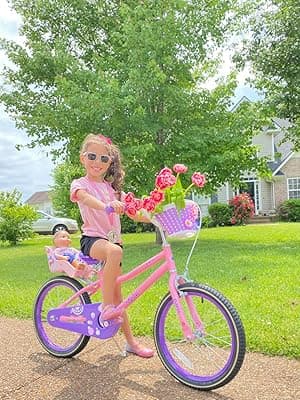 JOYSTAR Paris Girls Bike for Ages 3-8 Years Old, 14 16 18 Inch Kids Bike with Training Wheels, Basket and Handbrake, Multiple Colors