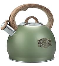 Tea Kettle Stovetops, 2.7 Quart Food Grade Stainless Steel Water kettles for Stove Top Teatop with Anti-hot Ergonomic Handle,Suitable for All Heat Sources