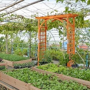 Yaheetech 85in Wooden Garden Trellis Horticulture Garden Arch Arbor for Climbing Planting Plant Stand in Garden Yard Outdoor, Brown