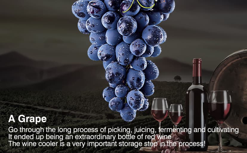 Upgraded 24 Inch Wine Cooler Refrigerator, 190 Bottles Wine Fridge with Professional Temperature Control System, Freestanding or Built-in installation, Quiet Operation