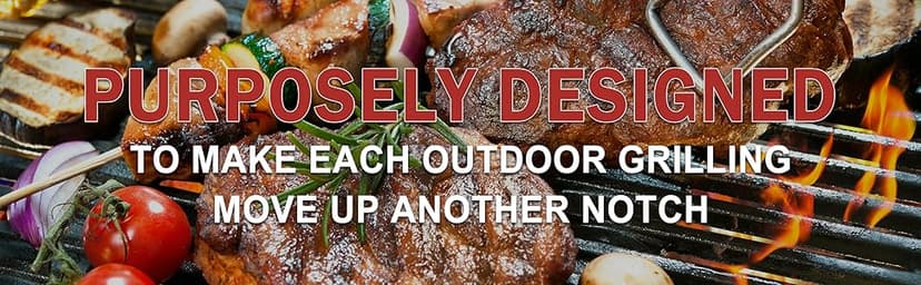 Royal Gourmet GT1001 Stainless Steel Portable Grill, 10000 BTU BBQ Tabletop Gas Grill with Folding Legs and Lockable Lid, Outdoor Camping, Deck and Tailgating, Silver